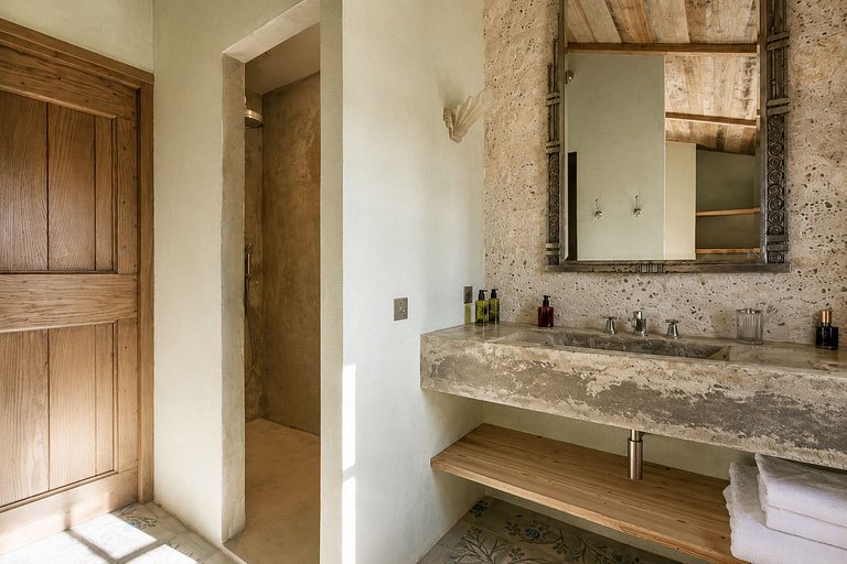 Pro010 - Provençal Estate in the Alpilles