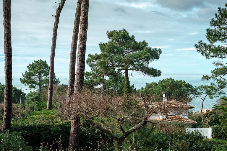 Arc001 - Villa with ocean view in Le Pyla, Arcachon Bay