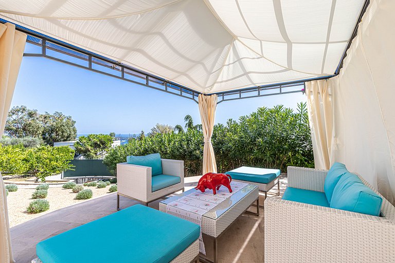 Azu132 - Exceptional Villa for Rent in Cannes