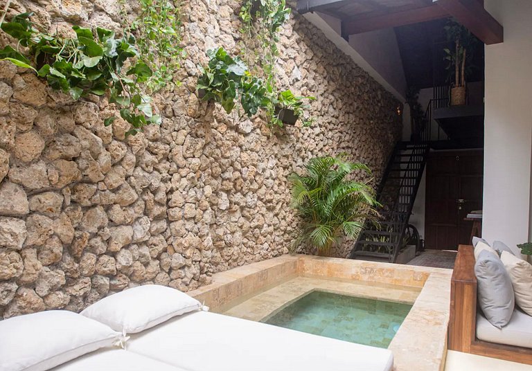 Car103 - Luxurious house in the historic center of Cartagena