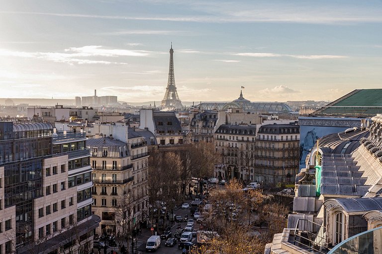 Par006 - Unique penthouse in Paris for rent