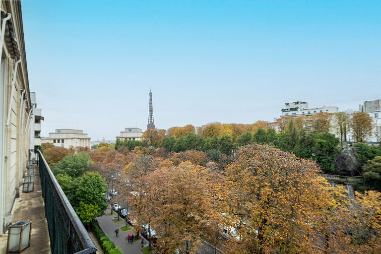 Par102 - Beautiful Haussmann-style apartment with an unobstr