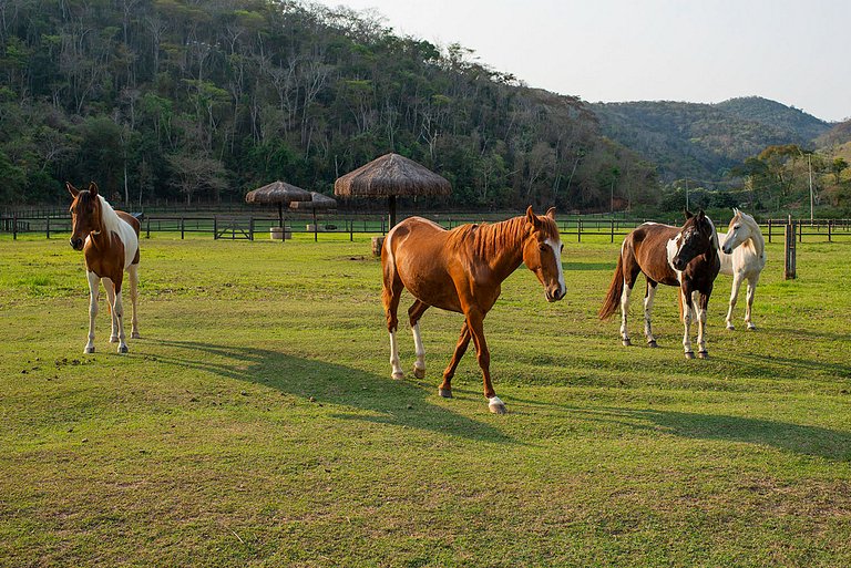 Srj002 - Linda casa de fazenda em Bemposta