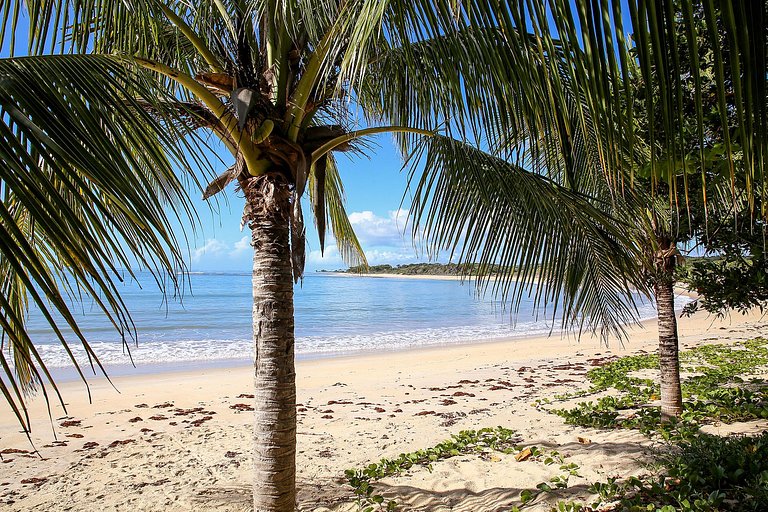 trancoso, bahia, tranquility, beach, nature